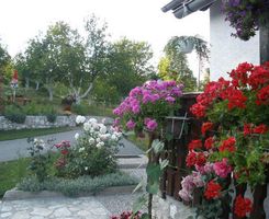 Appartamento Studio in Poljanak