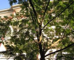 Appartamento Soba br. 7 in Sukosan