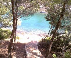 Appartamento  in Basina